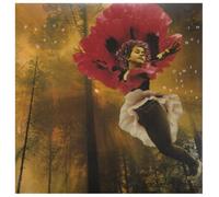 Panda Bear - I'm Not/Comfy in Nautica [Import anglais]