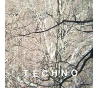 Panda Bear - Surfers Hymn