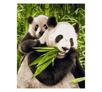 Panda Bears 24 x 30 cm - Peinture par numéros