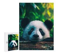 Panda in The Forest Puzzle 1000 Pièces Educa Jouet en Bois Cadeau Unique Décoration Intérieure Jeu Éducatif Challenge Toy Adultes Et Enfants À Partir De 14 Ans 500 PCS