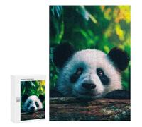 Panda in The Forest Puzzle 1000 Pièces Educa Jouet en Bois Cadeau Unique Décoration Intérieure Jeu Éducatif Challenge Toy Adultes Et Enfants À Partir De 14 Ans 300 PCS