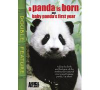 Panda is Born & Baby Panda's First Year
