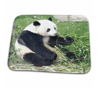 Panda Mangeant du Bambou, Province du Sichuan, Chine Design Animaux Welcome Paillassons Doux Paillasson Intérieur Lavable en Machine Paillasson D'Entree pour Salon Cuisine Baignoire 40X60 Cm