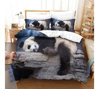 Panda Microfibre Douce Facile D'entretien Housse De Couette De Parure De Convient ¿¿ Toutes Les Personnes Pi¿¿Ces Quilt Cover Fermeture ¿¿ Glissi¿¿Re Single£¿Xcm£©