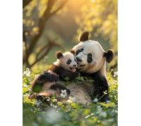 Panda Peinture par Numéro Adulte avec Cadre, 20x30cm Peinture par Numero Adulte Loisir Creatif, DIY paysage Peinture Numero Enfant Débutants, avec Peintures et 3 Pinceaux, Decoration Murale Maison