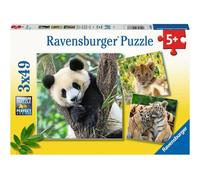 Panda, tigre et lion Ravensburger 05666