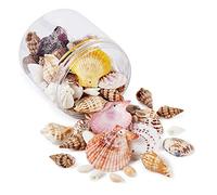 PandaHall Lot de 135 perles naturelles en forme de coquillage en spirale avec fil en cristal de 0,8 mm pour décoration d'aquarium