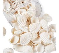 PandaHall Lot de 300 grammes de coquillage en forme de conque - Blanches - Naturelles - Avec trou de 1,5 à 1,6 mm - Pour décoration d'aquarium
