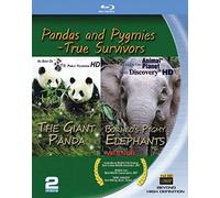 Pandas & Pygmies: True Survivors [Blu-Ray] [Import]