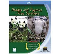 Pandas & Pygmies: True Survivors [Blu-Ray] [Import]
