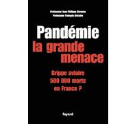 Pandémie la grande menace: Grippe aviaire 500 000 morts en France ?