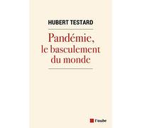 Pandémie, le basculement du monde
