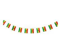 Pandiui23 Lot de 40 drapeaux nationaux Bolivie, 14 x 21 cm, vert et jaune, pour décorations de bar, jardin et événements 2023
