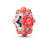 Pandora Bijoux Argent Charm Couleur Corail Océan 793897C01