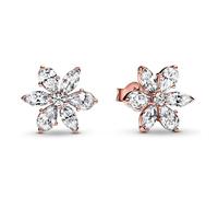 Clous d?Oreilles Herbier Scintillant - Pandora Timeless Doré Rose Doré