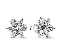Pandora Boucles d'oreilles Boucles d'oreilles à tige en herbier brillant 292633C01