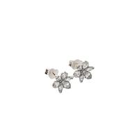 Pandora Clous d'oreilles Herbier scintillant – en argent sterling, zircones cubiques transparentes