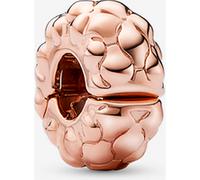 PANDORA Moments Clip 782716C00 clous