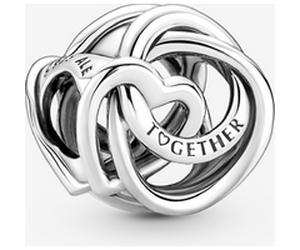 Pandora Charm Cœur et Cercles Ma Famille Pour Toujours one size