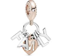 Pandora Femme Argent Charms et perles 787785CZ des