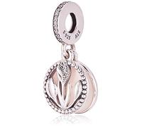 Pandora Femme Argent Charms et perles 797825CZ