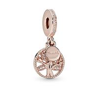 Charm Pandora 792072EN40