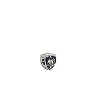 Pandora Charm Marvel Les Gardiens de la Galaxie Emblème Rocket Raccoon & Groot one size
