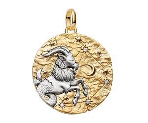 PANDORA Pendentif 764999C01