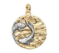 Pandora Charm Médaillon XL Signe des Poissons one size