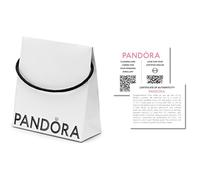 Pandora Sac écologique pour bijoux, perles, bracelets, pendentifs, boucles d'oreilles, pendentifs (14 x 14 x 6) cm (2)