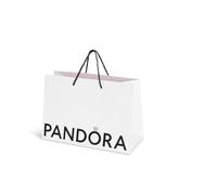 PANDORA Sac moyen écologique pour bijoux : bagues, bracelets, pendentifs, boucles d'oreilles et breloques (21,5 x 16 x 8 cm) (1)