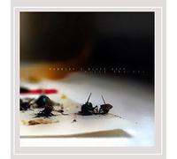 Pandora's Black Book - Black Brothel