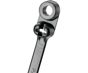 Panduit BC2S-S10-C0 BC2S-S10-C0 Serre-câble 216 mm 4.70 mm noir avec oeillet de fixation