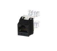 Panduit NK Module Cat 6 UTP PUNCHDOWN BL