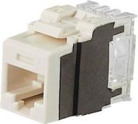 Panduit NK6X88MIW Module Keystone