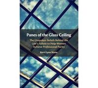 Panes of the Glass Ceiling by Kerri Lynn Florida International University Stone Kerri Lynn Florida International University Stone (Auteur)