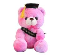 PANFHGFG Lovely Doctor Lovely Doctor Rich Grahemed Rich Graduation Memory Gift Home Accent Safe Fabric Adorable Bear Doll