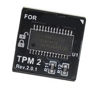 PANFHGFG Puce de sécurité TPM 2.0 14 Broches avec Prise en de