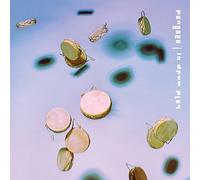 Pangaea - In Drum Play