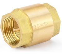 Pangaea Tech Clapet anti-retour universel 1 1/2" - Clapet anti-retour inoxydable avec filetage intérieur des deux côtés - Frein à gravité pour conduites d'eau - Clapet anti-retour d'eau 1 1/2"