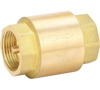 Pangaea Tech Clapet anti-retour universel 1/2Clapet anti-retour inoxydable avec filetage intérieur des deux côtés Frein par gravité pour conduites d'eau Clapet anti-retou