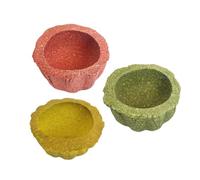PANGBOER Jouets de Bol à mâcher pour Hamster | Ensemble de gobelets à ronger texturés, 3 pièces, petits animaux de compagnie, choix d ' enrichissement de l '