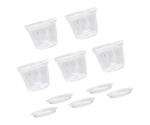 PANGBOER Lot de 5 supports de culture durables conçus pour une meilleure croissance des variétés de fleurs et des fleurs associées aux rebords de fenêtre