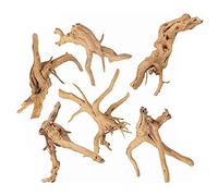 PANGBOER Lot de 6 branches de bois flotté pour aquarium - Petits troncs de reptiles en bois naturel pour décoration d'aquarium - Assortiment de souches de plantes - Petits morceaux de bois flotté