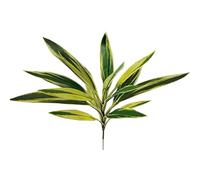 PANGBOER Plante Dracaena imitation bois du Brésil robuste en soie imprimée pour bureau, feuillage réaliste pour décoration d'intérieur, arbre réaliste en bois du Brésil d'intérieur