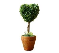 PANGBOER Plante succulente artificielle verte - Décoration de cactus - Petite décoration d'intérieur ou de bureau - Arrangement de jardin en pot - Succulentes artificielles