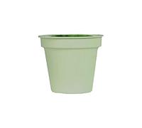 PANGBOER Pot de fleurs en métal pour fleurs séchées - Pot de fleurs à suspendre - Pot mural d'intérieur