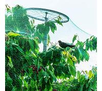 PanHuiWen Filet Anti Oiseaux Cerisier Filet de Protection Contre Les Oiseaux Idéal pour Prévenir Les Oiseaux et Les Gros Insectes,1x10m