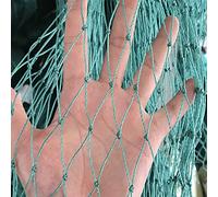 PanHuiWen Filet de Protection Anti-Oiseaux pour Plantes Filet Anti-Oiseaux Jardin Anti Oiseau Filet de Couverture de Bassin,2x10m