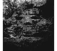 Panicsville - A Dragonfly for Each Corpse